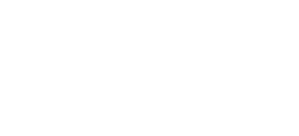 GSRS, Global Security and Resilience Services